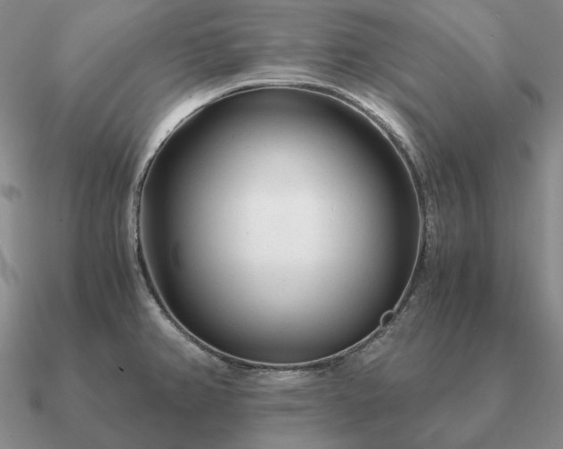 X0000090921382200708061534
