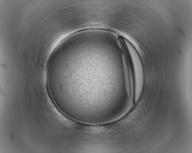 X0000090921383200708061534