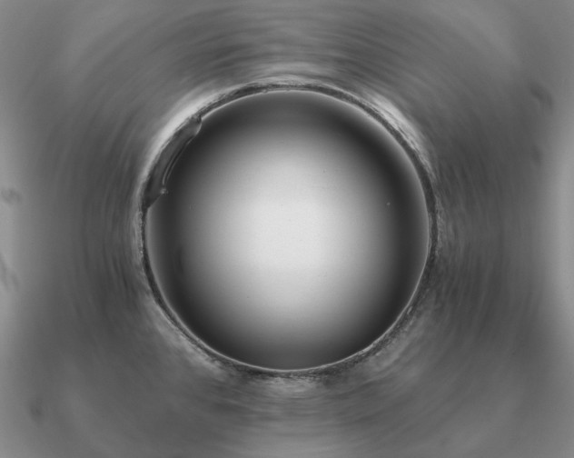 X0000090921384200708061534