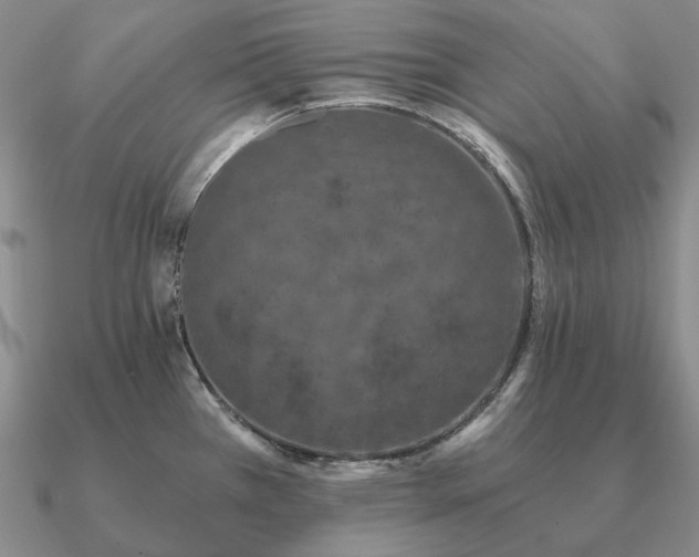X0000090921385200708061534