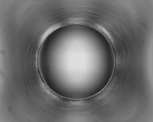 X0000090921386200708061534