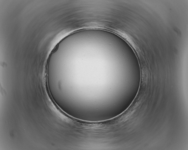 X0000090921387200708061534