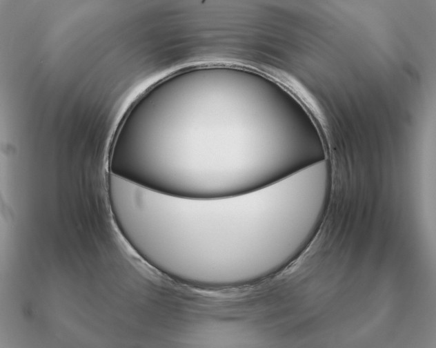 X0000090921388200708061534