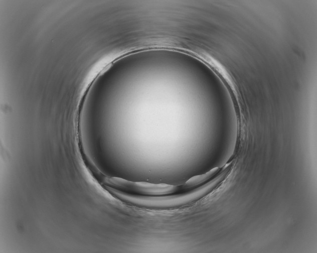 X0000090921389200708061534