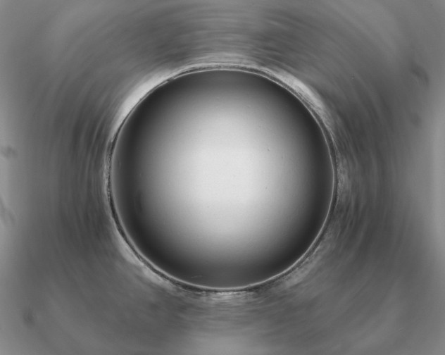 X0000090921390200708061534
