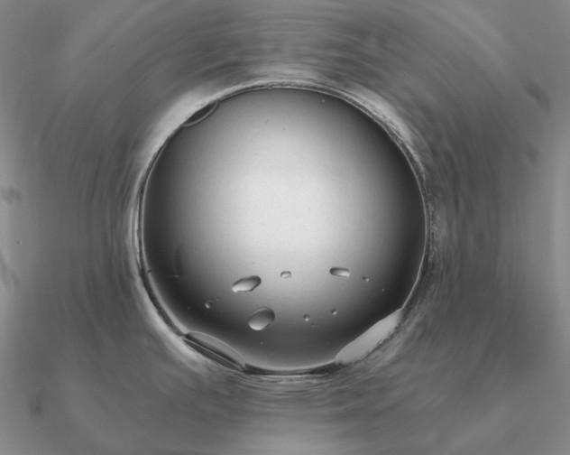 X0000090921391200708061534