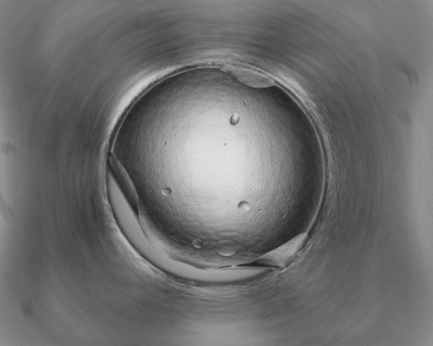 X0000090921392200708061534