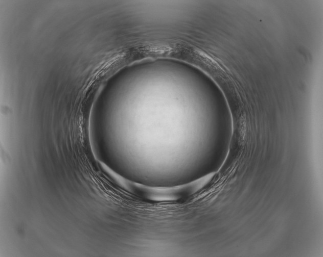 X0000090921394200708061533