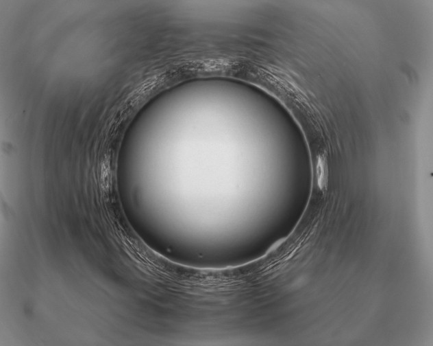 X0000090921395200708061533
