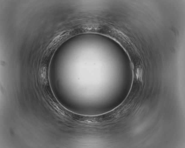 X0000090921396200708061533