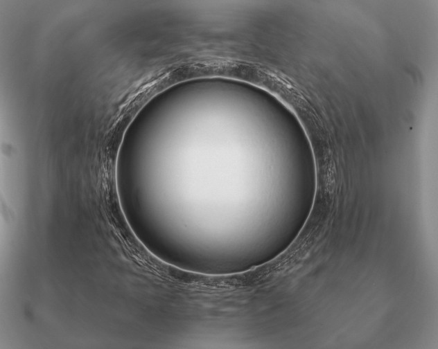 X0000090921397200708061533