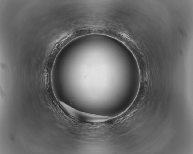 X0000090921398200708061533