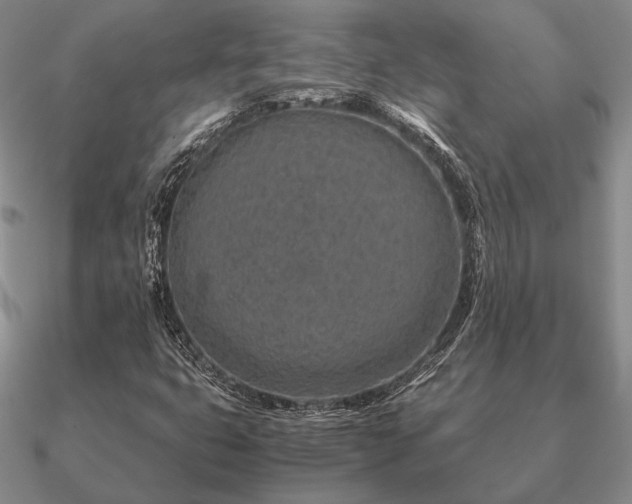 X0000090921399200708061533