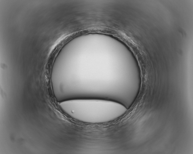 X0000090921400200708061533