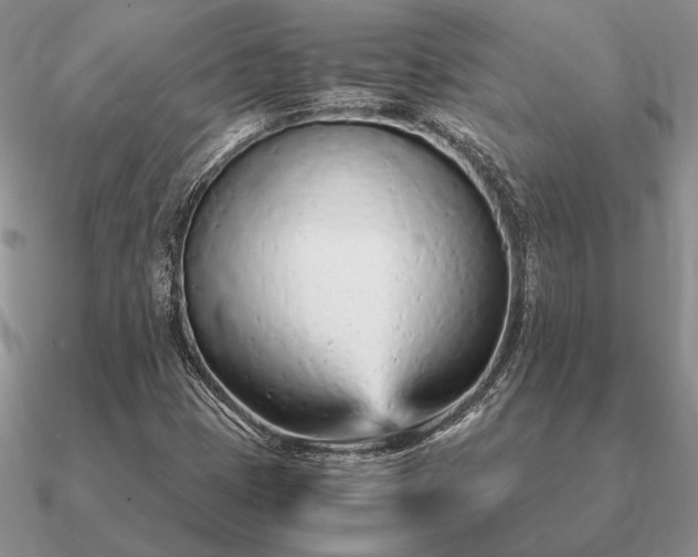 X0000090921401200708061533