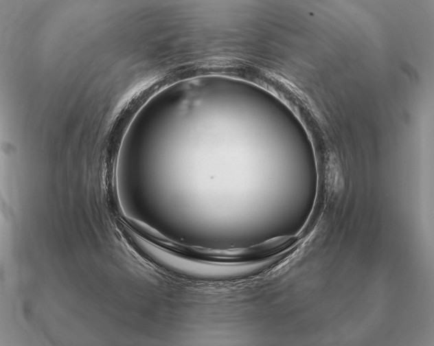 X0000090921402200708061533