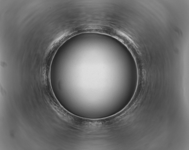 X0000090921403200708061533