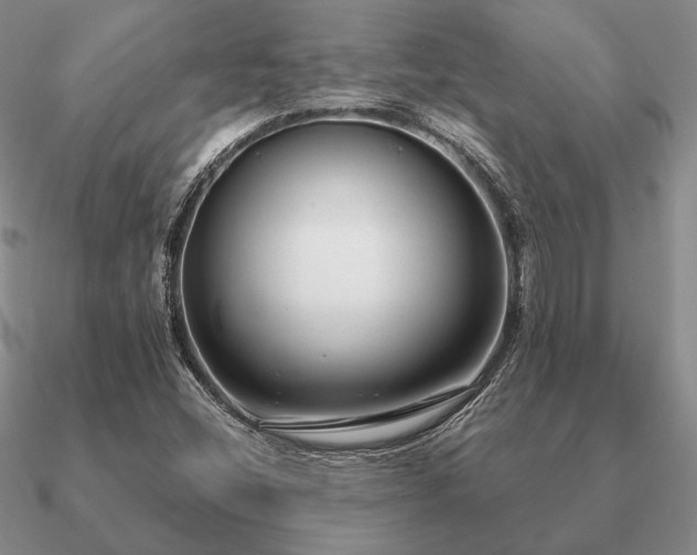 X0000090921404200708061533