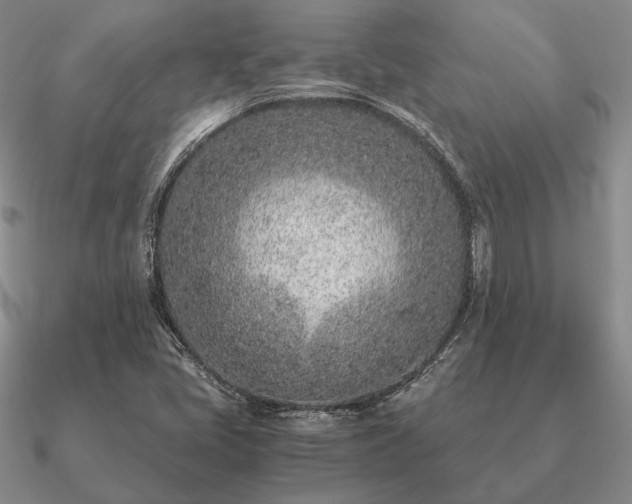 X0000090921405200708061533