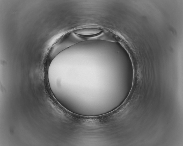 X0000090921406200708061533