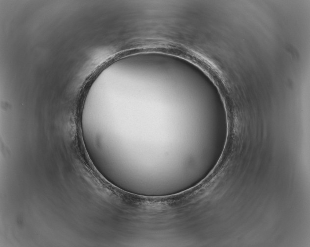 X0000090921407200708061533