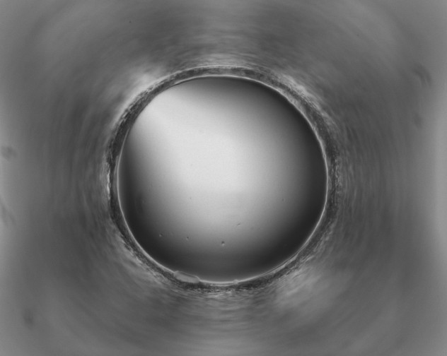 X0000090921408200708061533