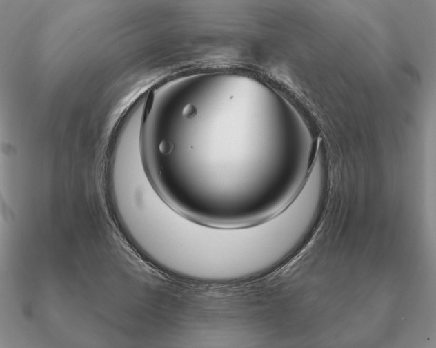 X0000090921410200708061533