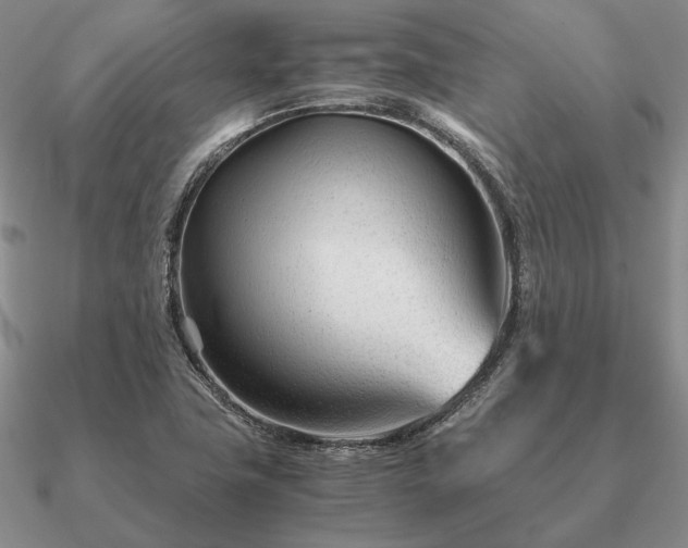 X0000090921411200708061533