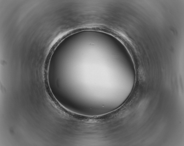 X0000090921412200708061533