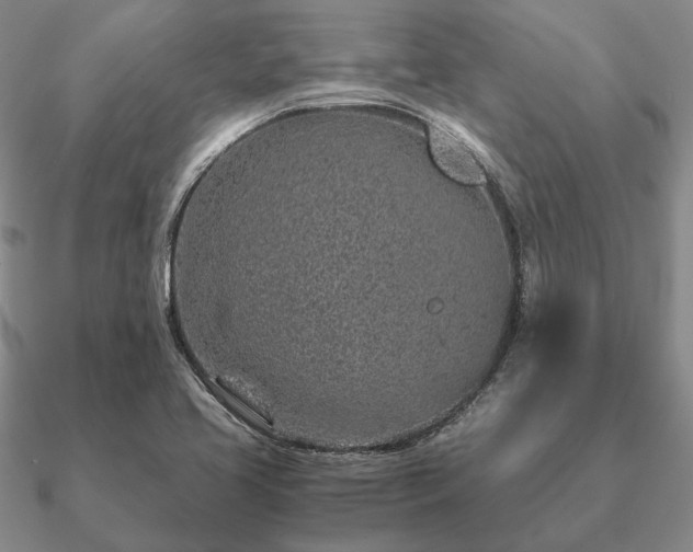 X0000090921413200708061533