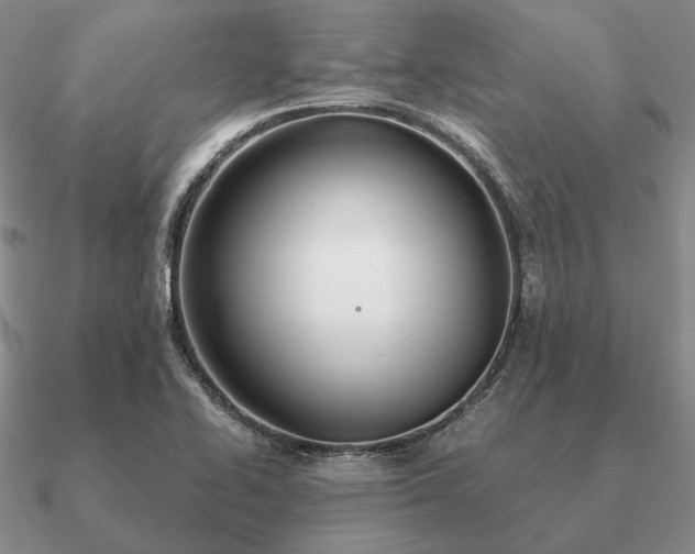 X0000090921414200708061533