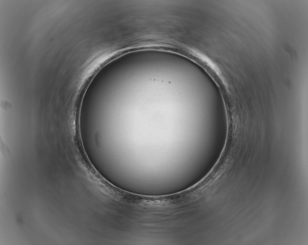 X0000090921415200708061533