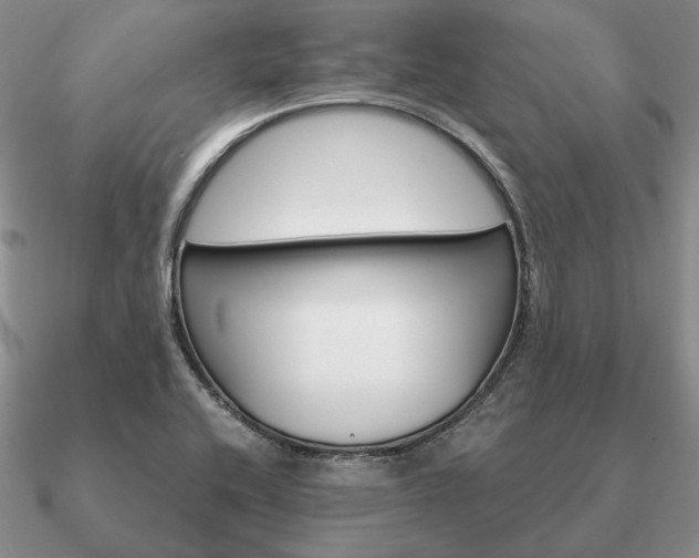 X0000090921416200708061533