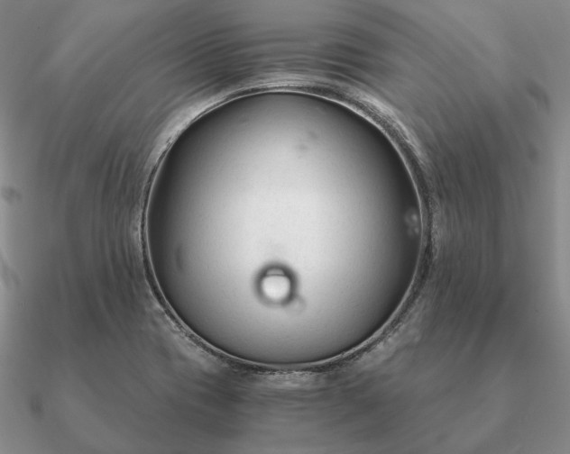 X0000090921417200708061533