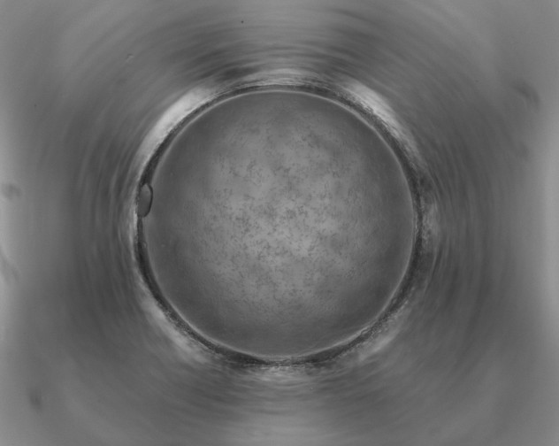 X0000090921418200708061533