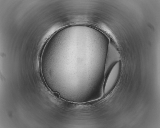 X0000090921419200708061533