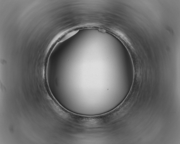 X0000090921420200708061533