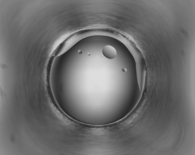 X0000090921422200708061533
