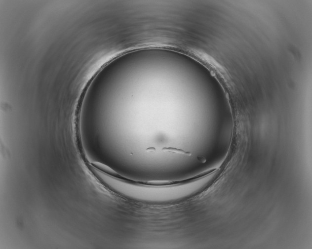X0000090921423200708061533