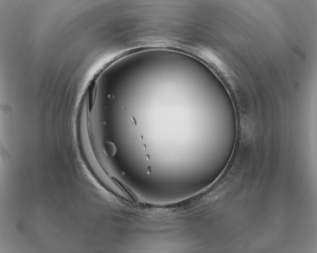 X0000090921424200708061533