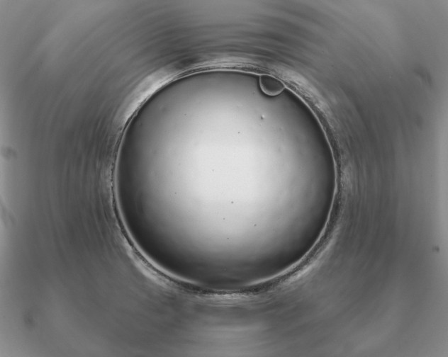 X0000090921425200708061533