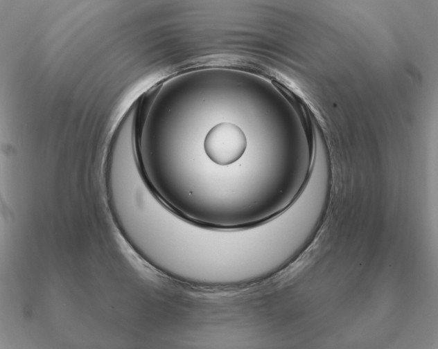 X0000090921426200708061533