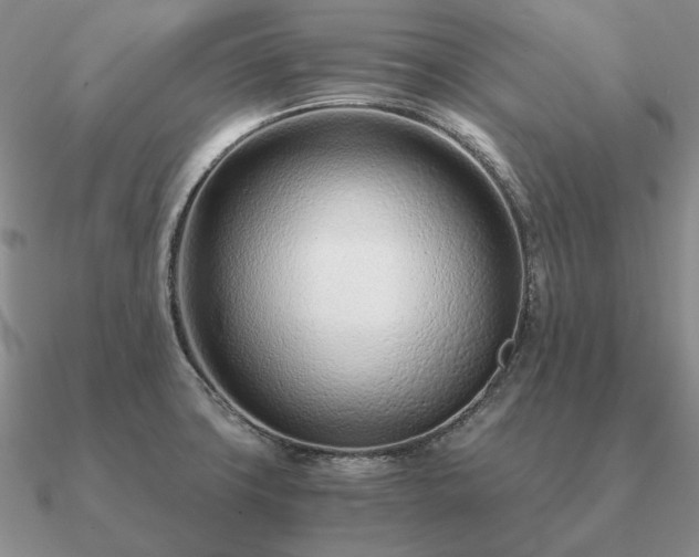X0000090921427200708061533