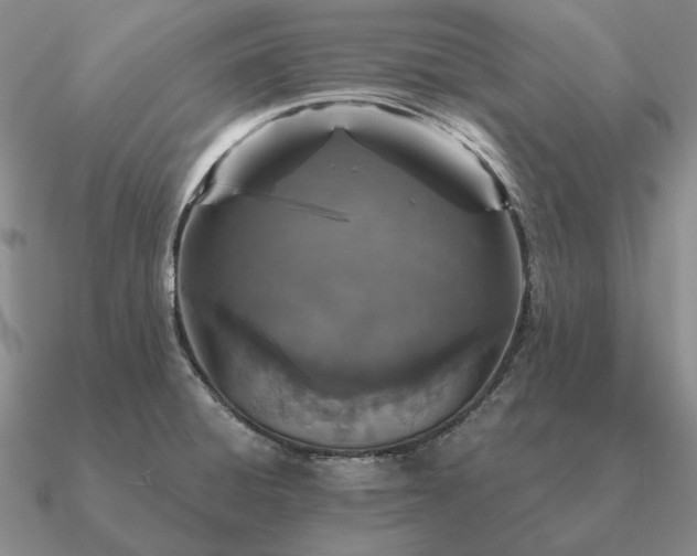 X0000090921428200708061533