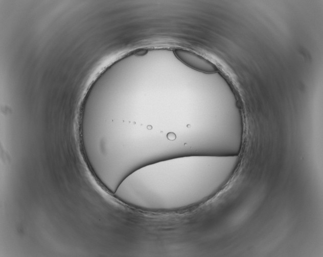 X0000090921429200708061533