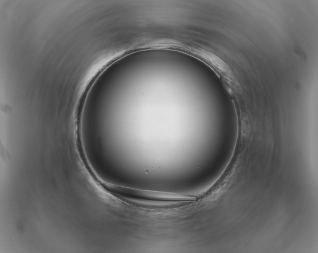 X0000090921430200708061533