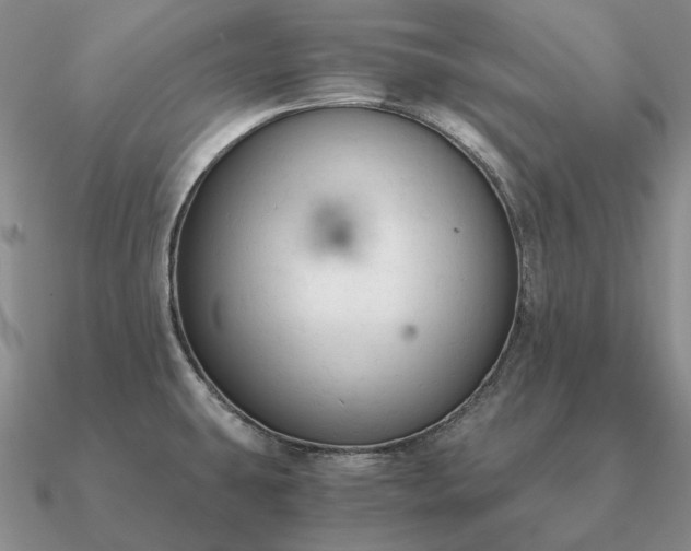 X0000090921431200708061533
