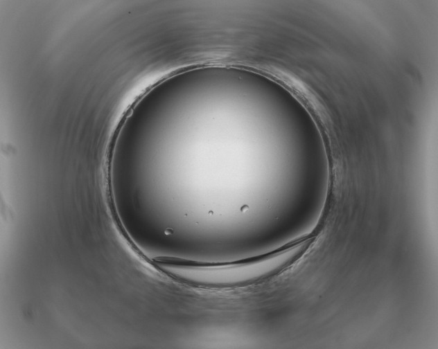 X0000090921432200708061533