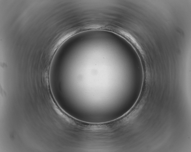 X0000090921433200708061533