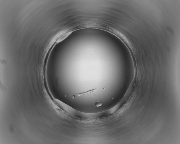 X0000090921434200708061533